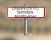 Diagnostic Termite AC Environnement  à Montpellier